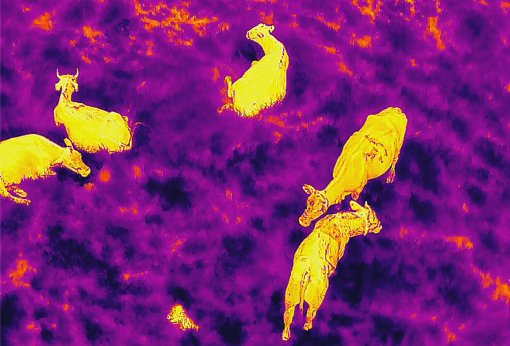 Application of Infrared Thermal Imaging in Agriculture