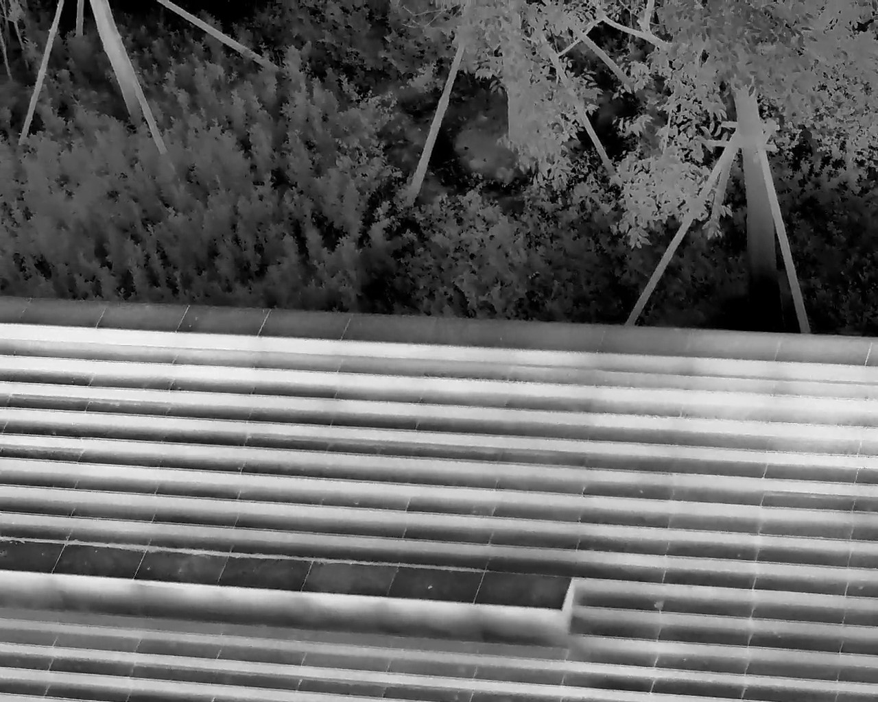 Emerging Markets for Infrared Solutions: Where is the Demand Growing?