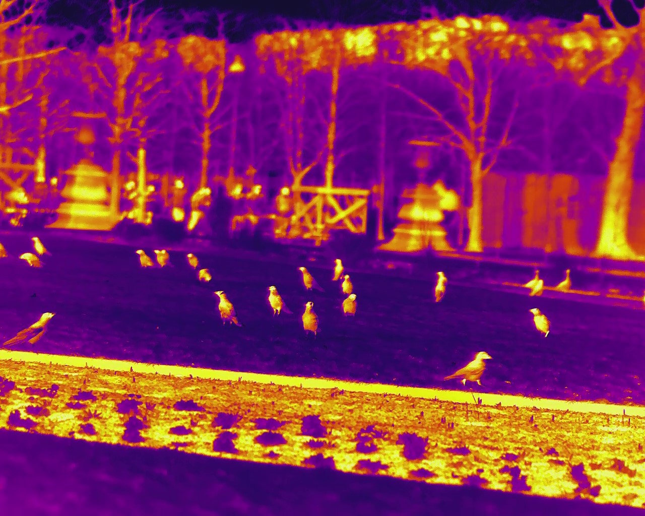 How High Thermal Resolution Transforms Infrared Imaging