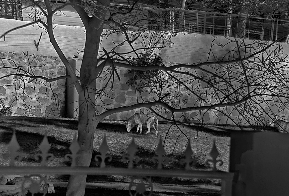 Technical Principles Behind Clear Infrared Imaging in Harsh Environments